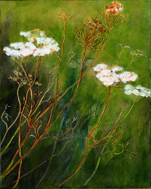 9- Queen Anne's Lace