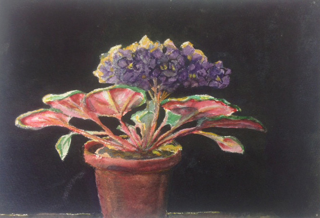 violets watercolor